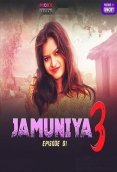 Jamuniya Season 3 (E01) MoodX Hot Web Series (2024)